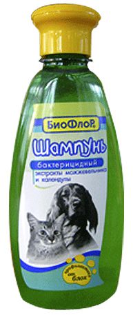 Купить В Аптеке Борисова Биофлор Купить В Аптеке Борисова Биофлор