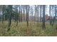 Лесной участок 40 соток в деревне  Шмеленки  Раменского района(возможна разбивка)
