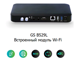 Двухтюнерный приёмник 4К + IP-сервер (GS B529L)