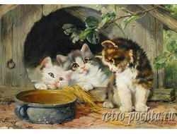 Джулиус Адамс 4333