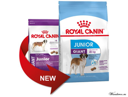 Royal Canin Giant Junior Роял Канин Джаинт Юниор корм для щенков гигантских пород в возрасте с 8 до 18/24 месяцев, 3.5 кг