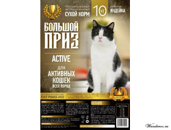 Большой Приз Activ для взрослых кошек всех пород ( индейка, развес ) 1 кг.