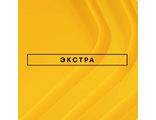 Подписка Plus Extra (Экстра)