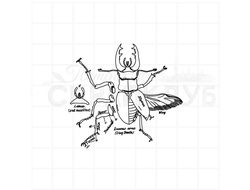 Штамп для скрапбукинга жук-олень детали