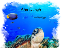 TRIP TO ABU DABAB FROM HURGHADA