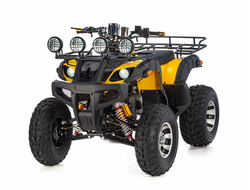 Квадроцикл RAPTOR MAX PRO 250 CC фото