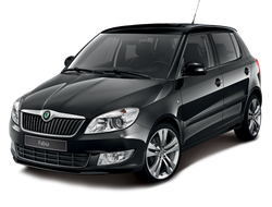 Чехлы на Skoda Fabia II (2007-2013)