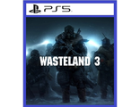 Wasteland 3 (цифр версия PS5 напрокат) RUS