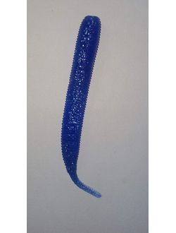 Резина съедобная Сирена Viking 75 mm. уп-ка 8шт. Цвет Аквамарин