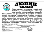 Сидерат Люпин 250г белый пакет