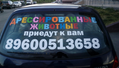 Рекламная наклейка на заднее стекло