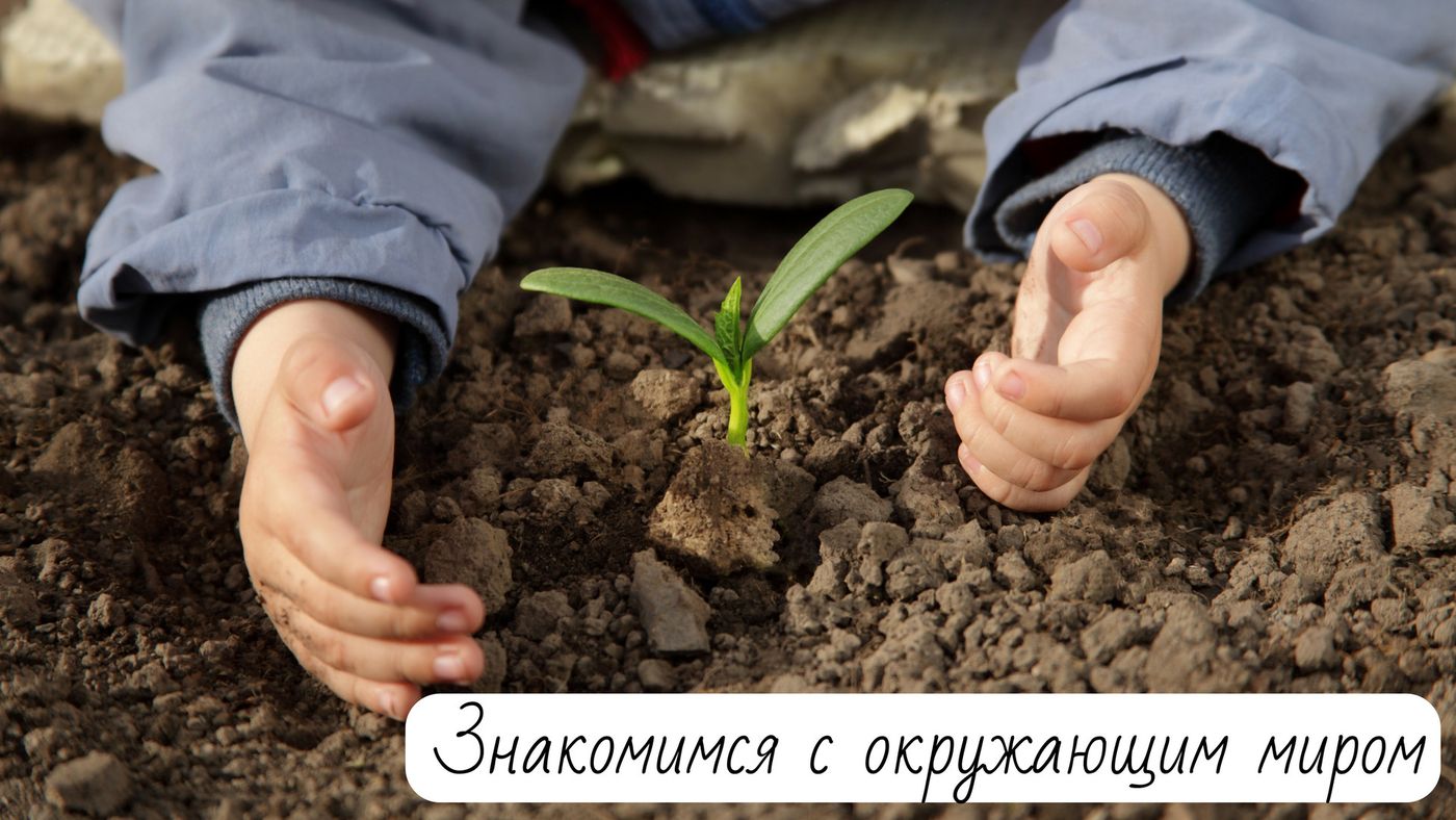 Во сколько месяцев можно присаживать ( 17 Во сколько месяцев можно присаживать ( 97