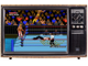 WWF Super wrestlemania, Игра для Сега (Sega Game)