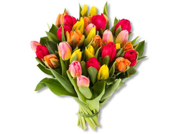 Букет Тюльпанов Феерия