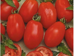 семена томаты "Рио Гранде" 10 шт.