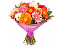 Разноцветный карнавал (17 Гербер)