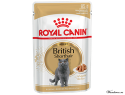 Влажный корм для кошек (пауч для кошек породы Британская Короткошерстная) Роял Канин Бритиш Royal Canin BRITISH SHORTHAIR ADULT  пауч в соусе 0,085 кг.