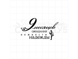 Штамп для беременных - 9 месяцев ожидания, нежности, надежды