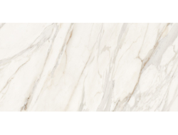 MARBLE CALACATTA GOLD 60Х120