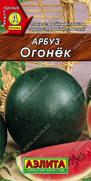 Арбуз Огонек Аэлита