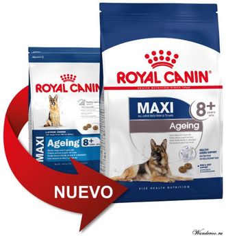 Royal Canin Maxi Ageing 8+ Роял Канин Макси Эйджинг 8+ корм для собак крупных пород в возрасте с 8 лет и старше, 3 кг