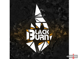 BLACK BURN 25g (Крепкий) - 255р