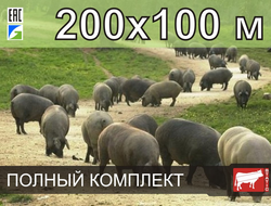 Электропастух СТАТИК-3М для свиней 200x100 метров - Удержит даже самого проворного поросенка!
