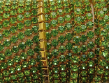 стразовая лента 2 мм св.зеленый в ярком золоте 90см