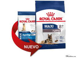 Royal Canin Maxi Ageing 8+ Роял Канин Макси Эйджинг 8+ корм для собак крупных пород в возрасте с 8 лет и старше, 15 кг