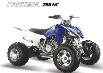 Спортивные квадроциклы Pantera 250 NC супер спорт аналог Yamaha 250