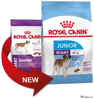 Royal Canin Giant Junior Роял Канин Джаинт Юниор корм для щенков гигантских пород в возрасте с 8 до 18/24 месяцев, 15 кг