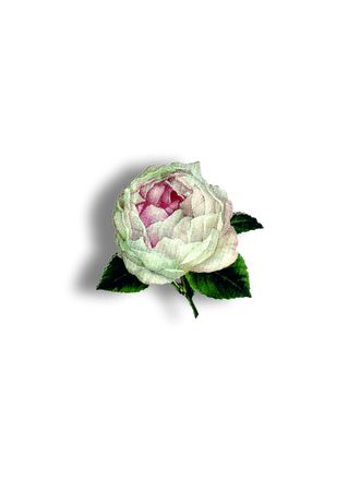 Белая роза - Брошь/ значок - 190