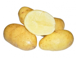 Картофель домашний, сорт Бриз, 1кг