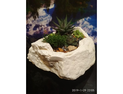 Каменный сад SADECOR #1