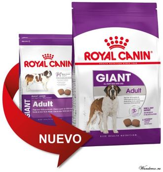 Royal canin giant adult clearance