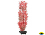 270411 Растение аквариумное Red Foxtail (М) 23см с утяжелителем