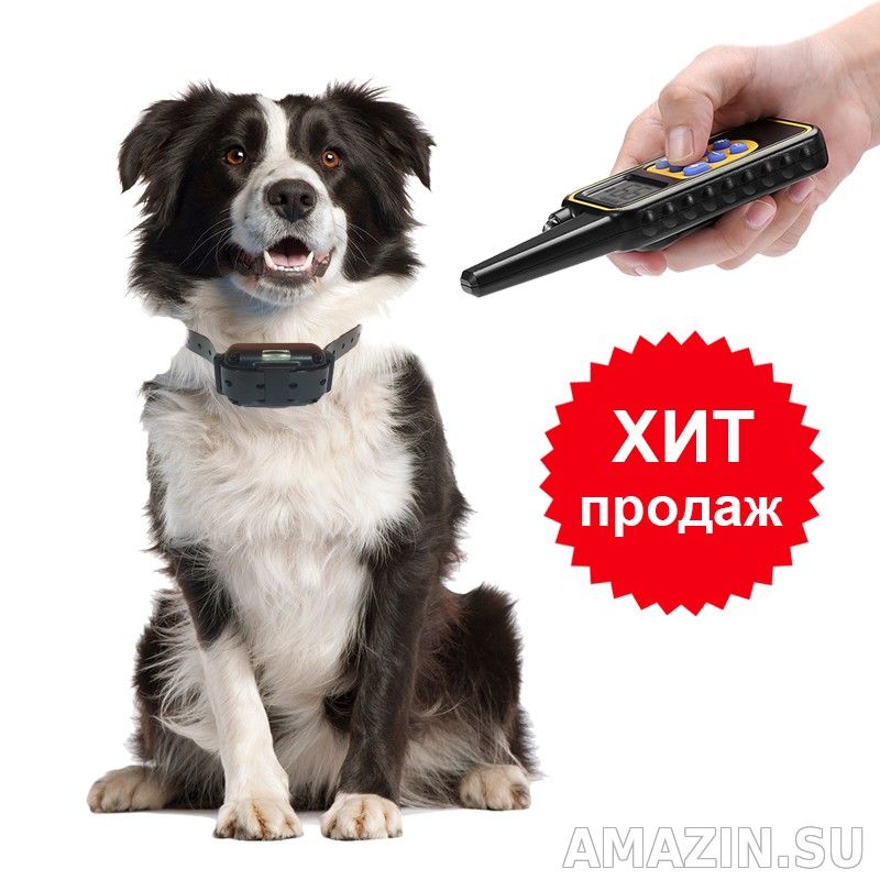 Электроошейник для дрессировки собак Petcomer P880 купить