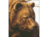 Хозяин леса (Медведь) DS711  (алмазная вышивка-мозаика)