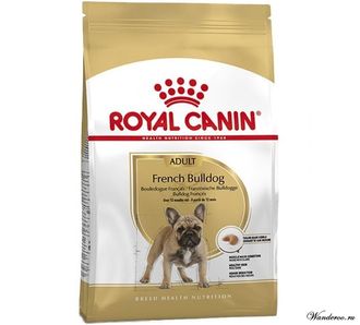 Bulldog royal canin clearance