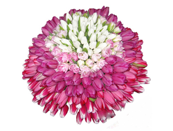 101 Тюльпан букет Розовая сказка