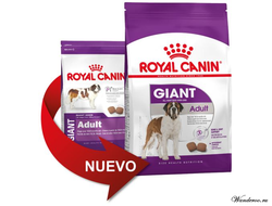 Royal Canin Giant Adult Роял Канин Джаинт Эдалт корм для собак гигантских пород старше 18/24 месяцев, 4 кг