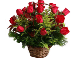 25 красных роз в корзине