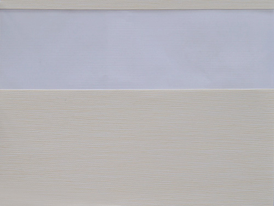 W2421, день-ночь. 60-80%