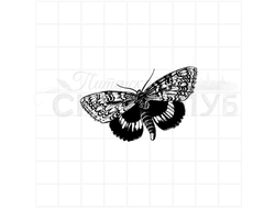 Штамп брутальный ночной мотылек бабочка