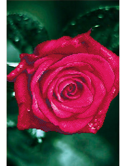 Алмазная мозаика Timkee 80310 Бутон розовой розы