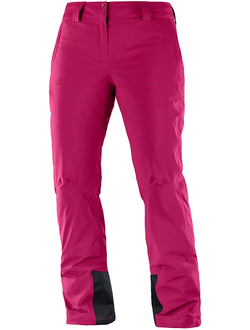 Брюки Зимние Женские Salomon Icemania Pant