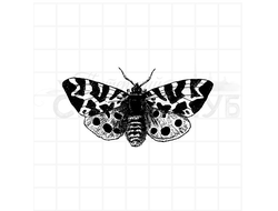 Штамп  ночная бабочка мотылек  в горошек и полоску