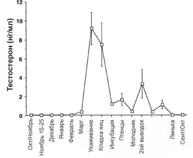 Схема годовой секреции тестостерона певчего воробья
