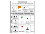 Плакат ИМО «Таблица спасательных сигналов» (комплект из 2 плакатов, RUS)