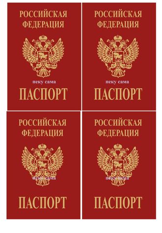 Паспорт 4 шт - 11